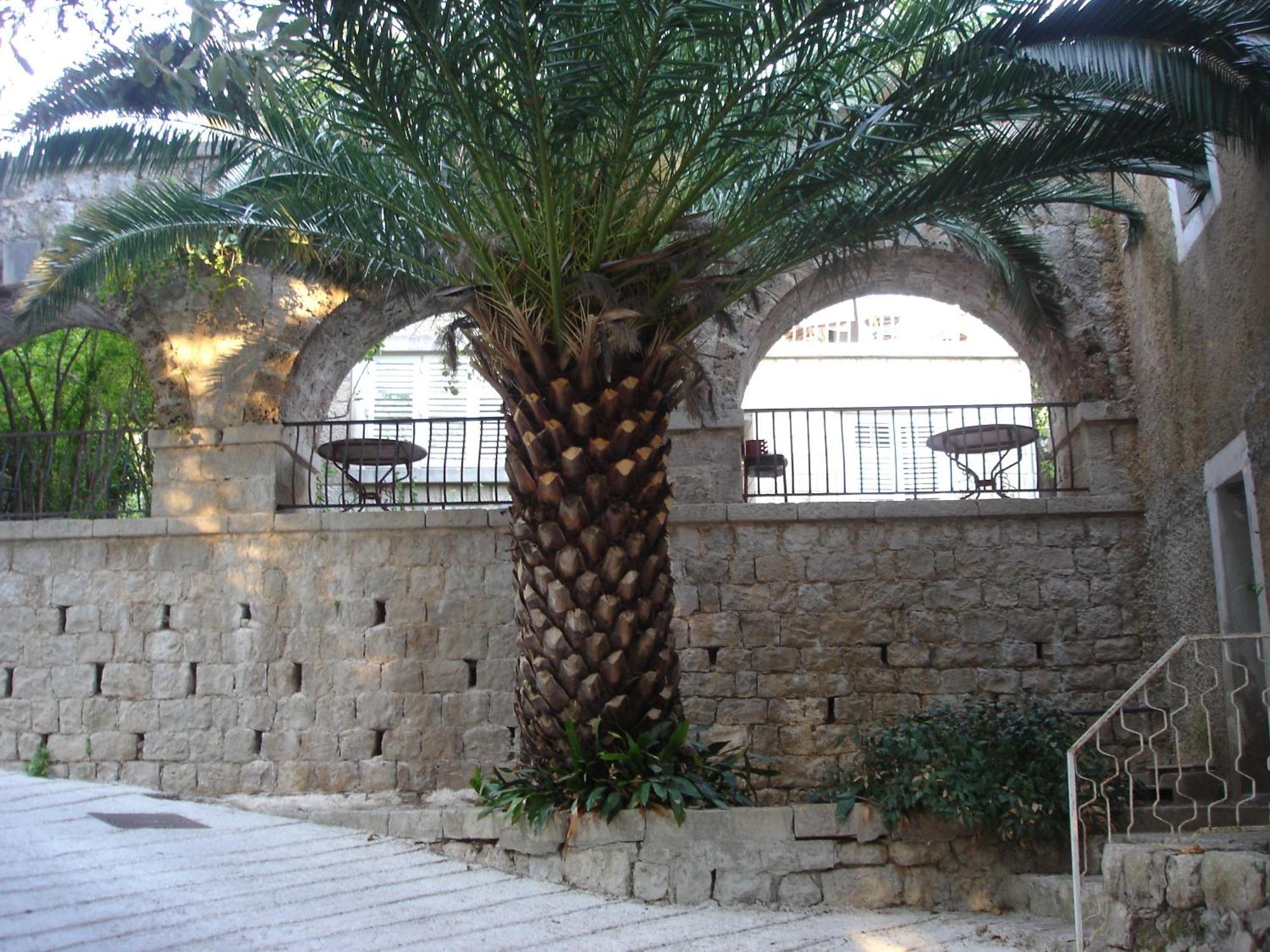 Villa Fede Mlini Esterno foto