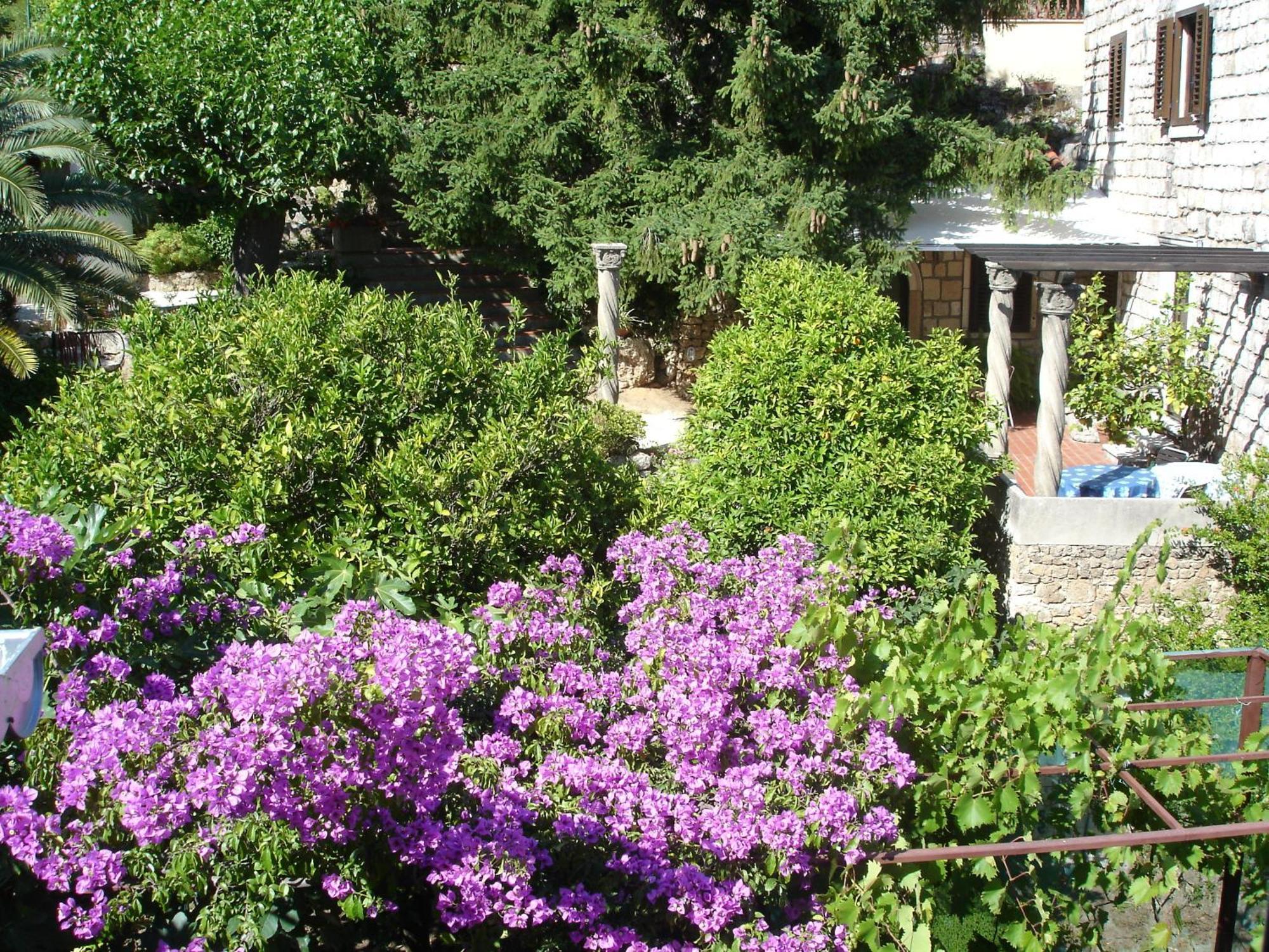 Villa Fede Mlini Esterno foto